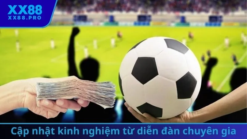 Cập nhật kinh nghiệm từ diễn đàn chuyên gia 